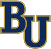 Bethel University